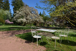 Photo avec le parc Mazarin de Giromagny au printemps